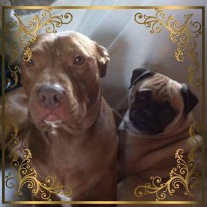 Meet your Posher, Carl